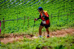 BIB: 
                            <button type="button" onclick="openModal(19164334)" class="btn btn-primary btn-sm float-right btn-popup" data-toggle="modal" data-target=".modal-high-quality">
                        <i class="fas fa-shopping-cart"></i> Add to Cart
                    </button>
                                            <button type="button" onclick="isThisMe(19164334, true)" class="btn btn-success btn-sm float-right btn-popup btn-isme hidden" data-toggle="tooltip" data-placement="bottom" title="นี่คือรูปของคุณใช่ไหม คลิกที่นี่เพื่อเอาเข้าอัลบั้ม">
                        <i class="fas fa-plus"></i> Add to album
                    </button>
                    <button type="button" onclick="isThisMe(19164334, false)" class="btn btn-warning btn-sm float-right btn-popup btn-isnotme hidden">
                        <i class="fas fa-ban"></i> Remove from album
                    </button>